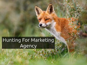 Hunting For Marketing Agency
