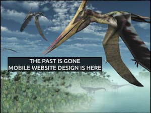 MOBILE WEBSITE DESIGN